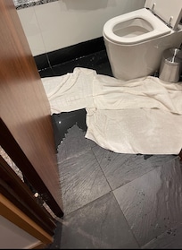 Overflowing toilet due to lack of plumbing maintenance in the building