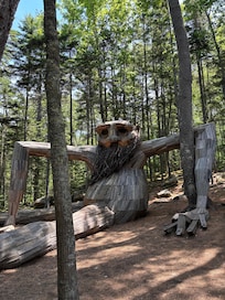 One of the Trolls at Coastal Maine Botanical Gardens
