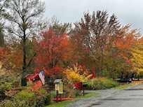 Fall Color on walk around the neighborhood