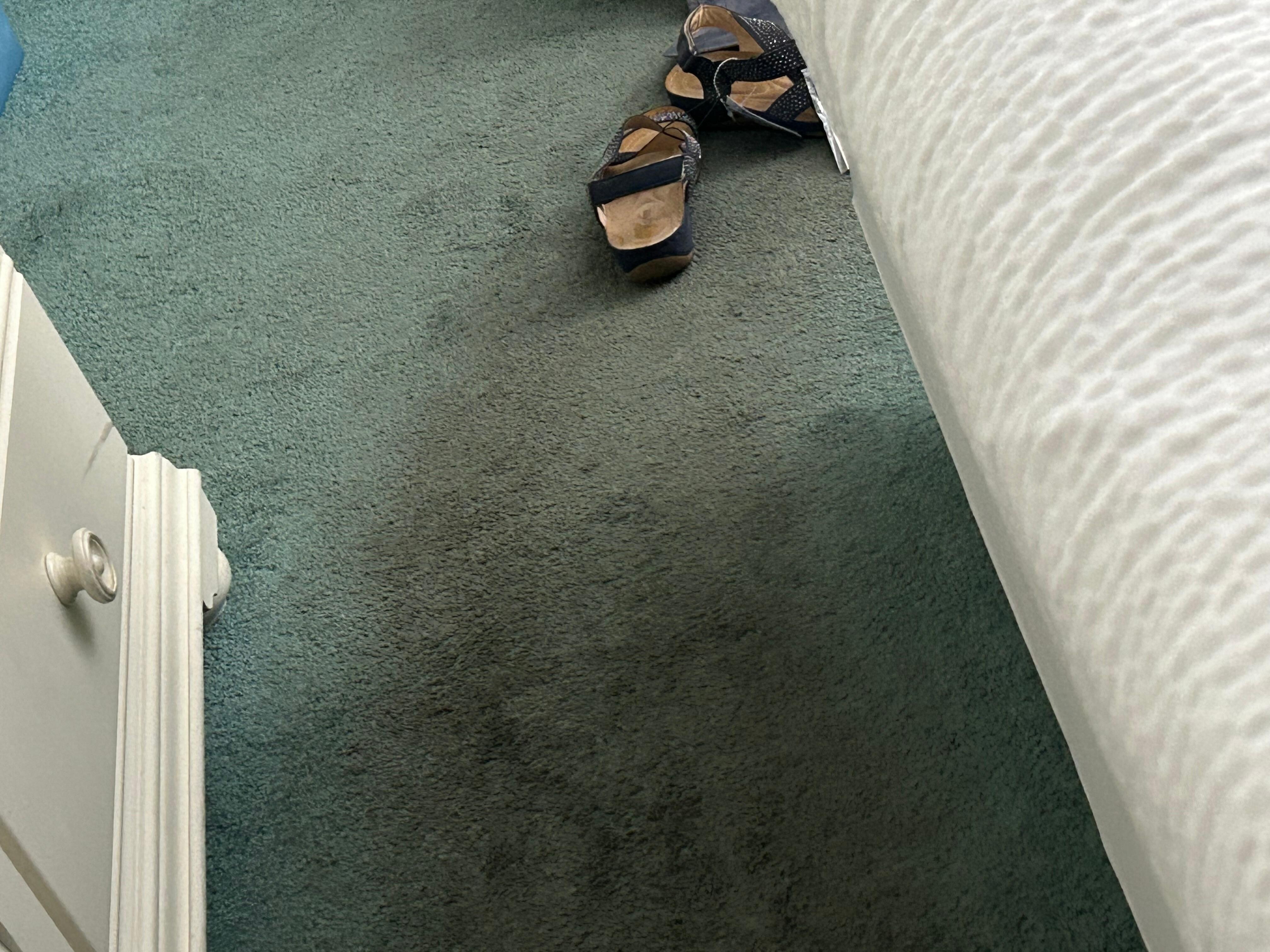 Disgusting carpet