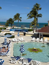 Beautiful view to wake up to every morning!