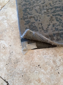 Carpet lifting in dining room room