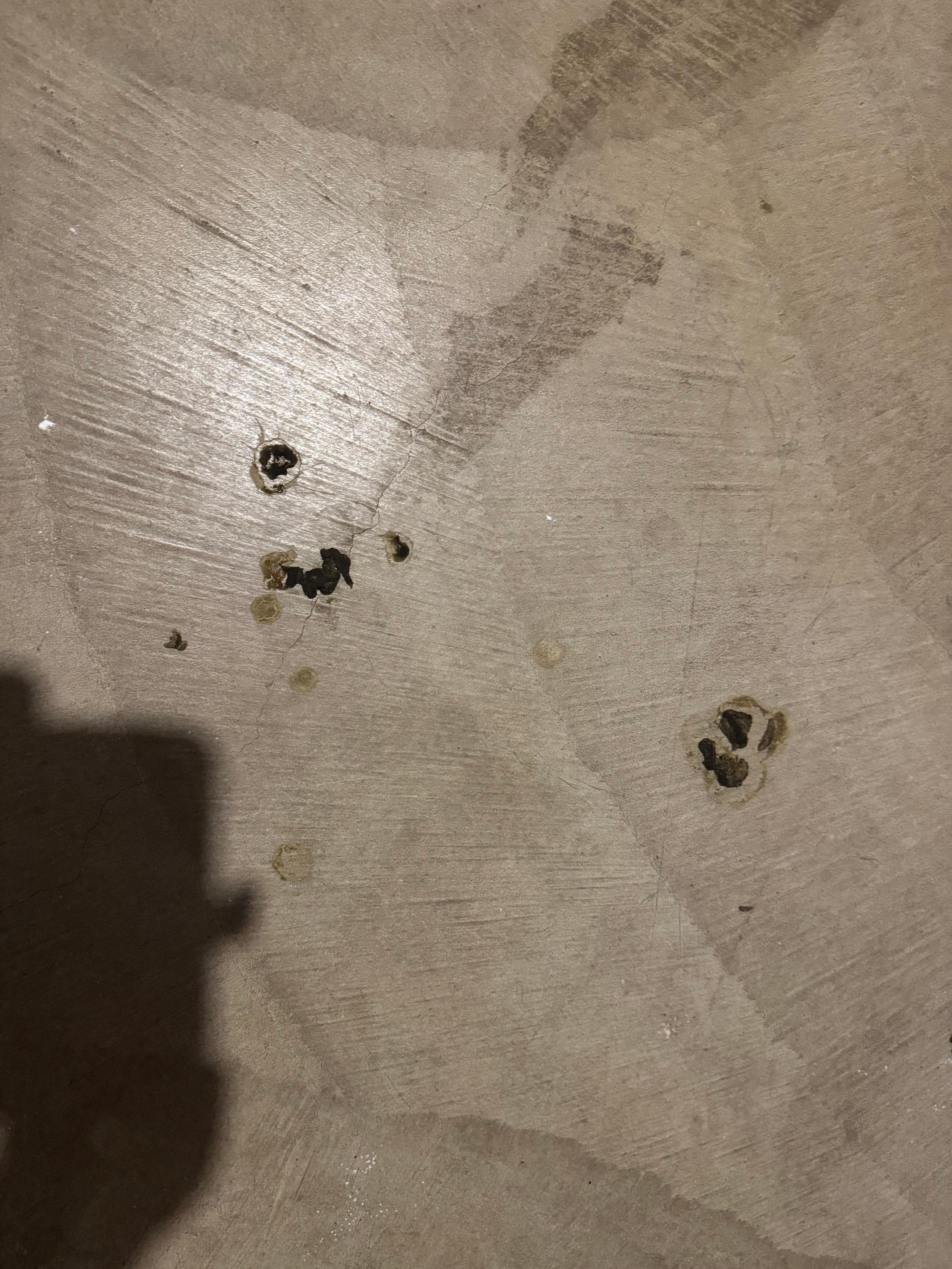 Poop & pee stains on basement floor. 