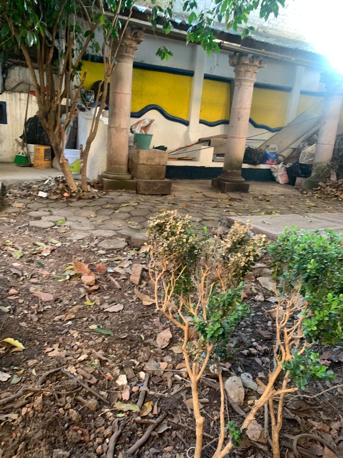 Es su única “área verde” todo sucio descuidado 