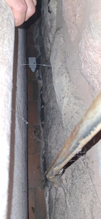 Sofa area with rodent droppings, webs and insect remains