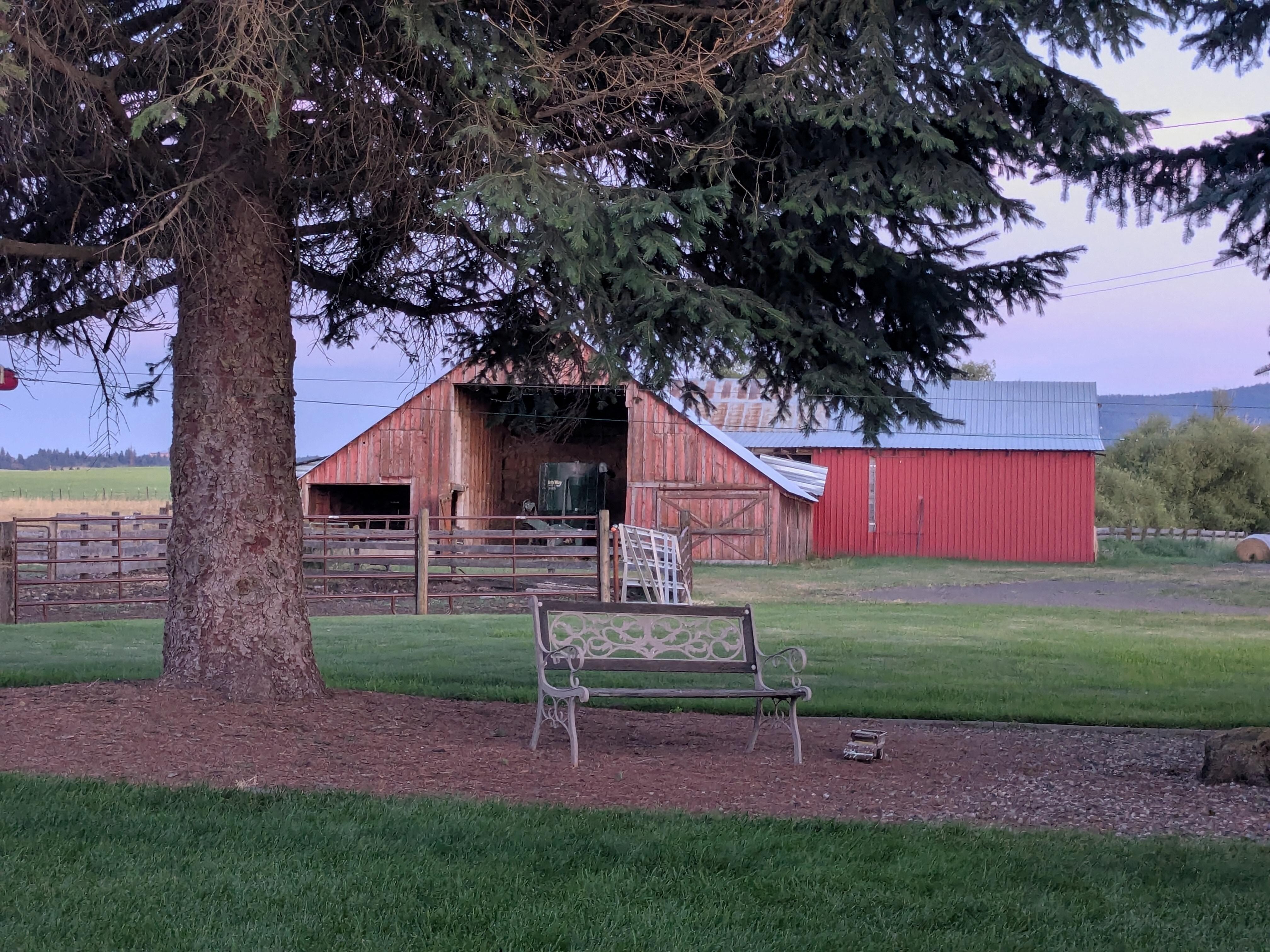 The surrounding area gave us beautiful, relaxing views. 