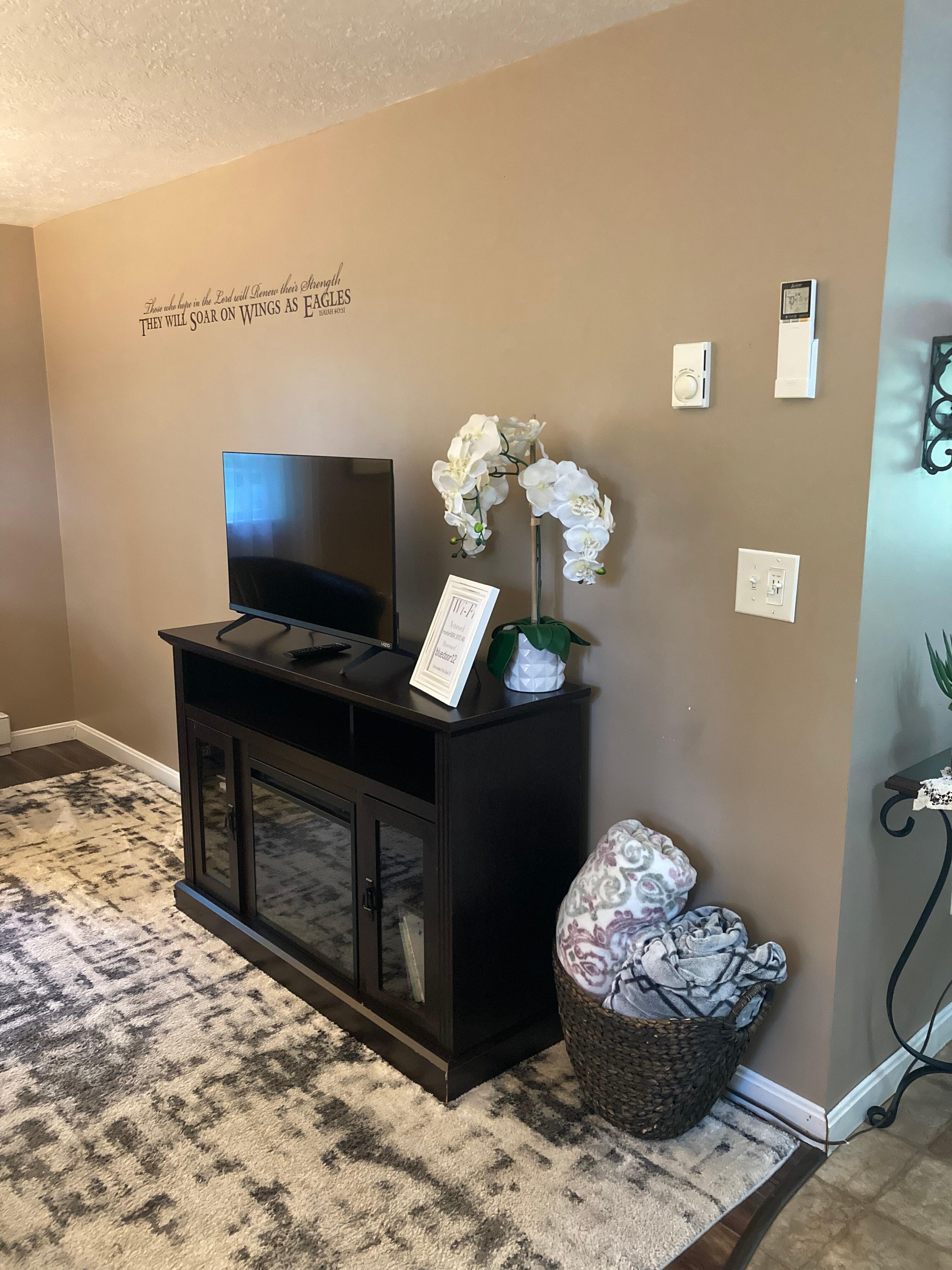 Tv/Fireplace
