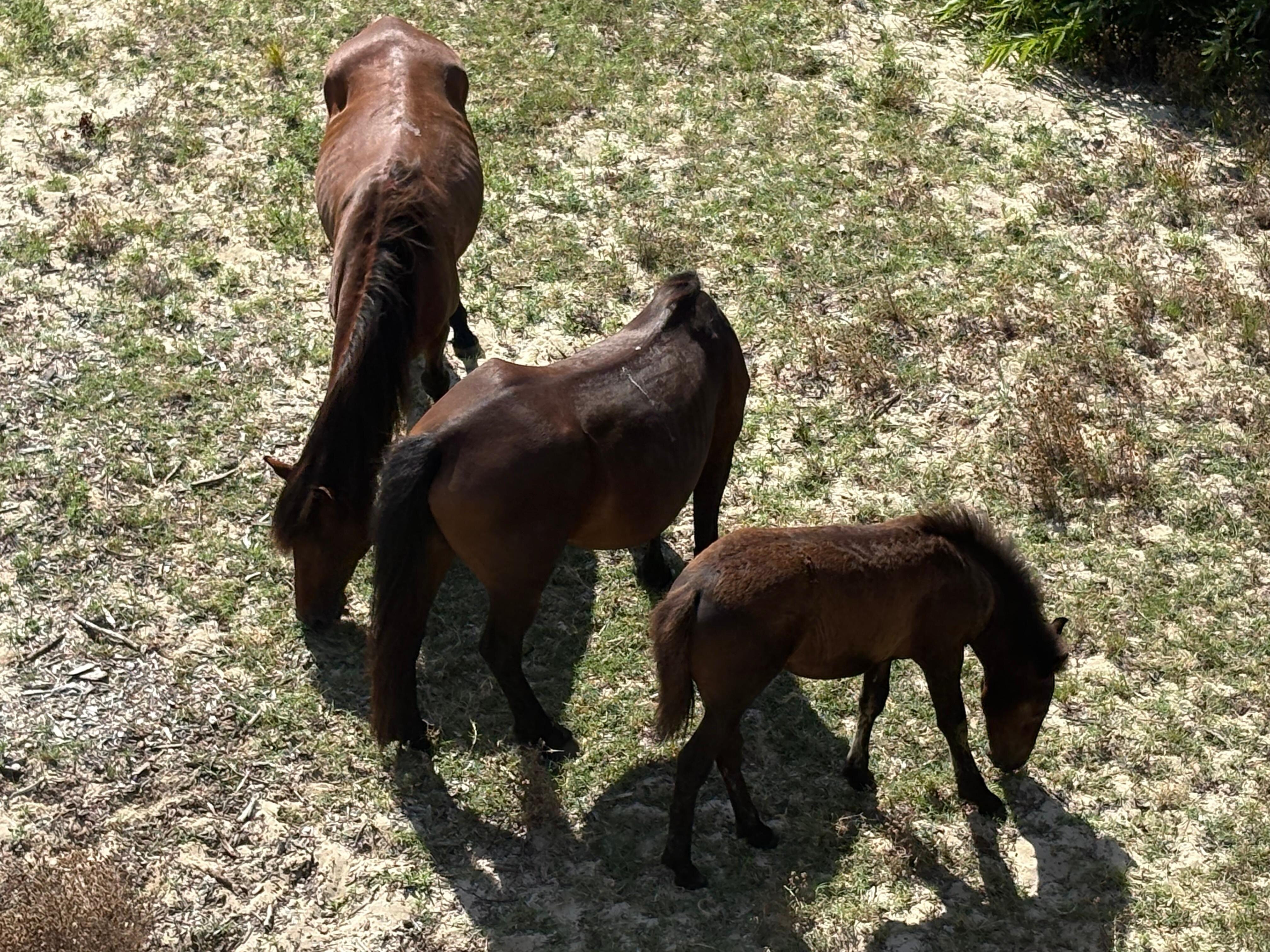 My favorite photo - from the back deck! 