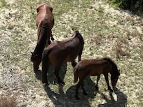 My favorite photo - from the back deck!