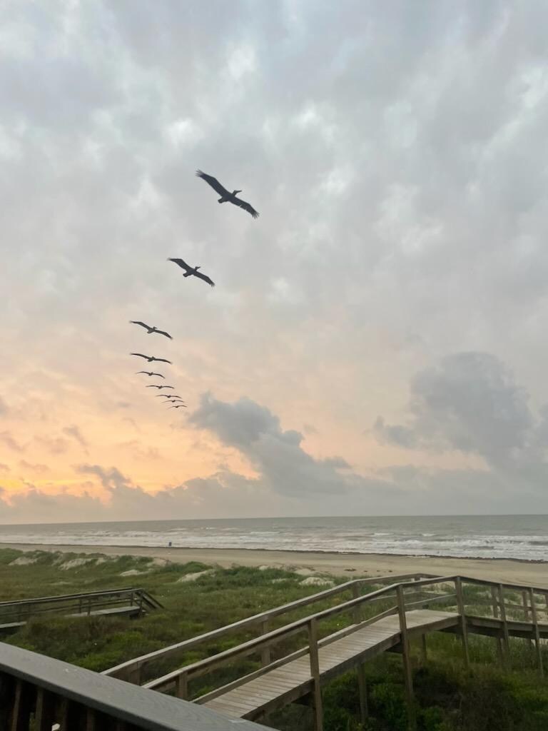 View from the Deck
