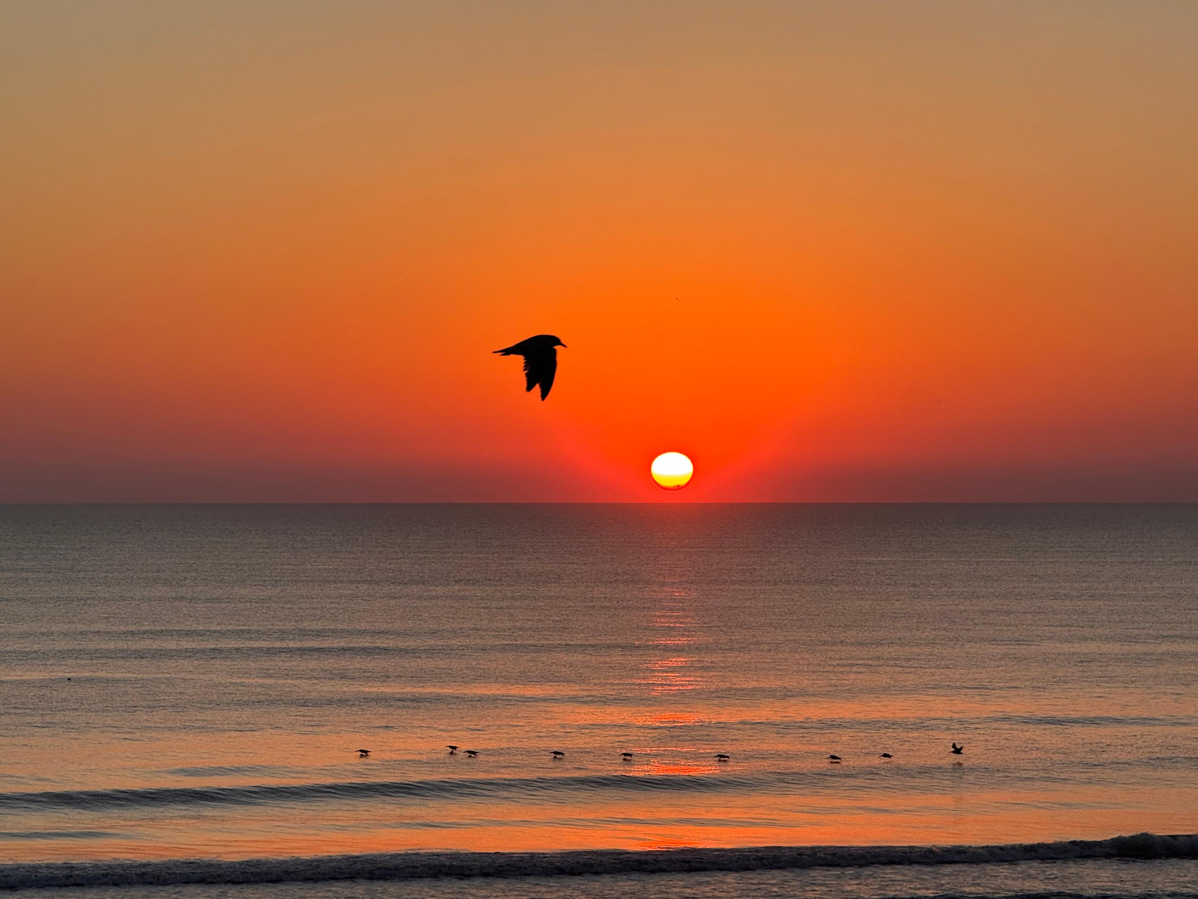 Absolutely beautiful! 