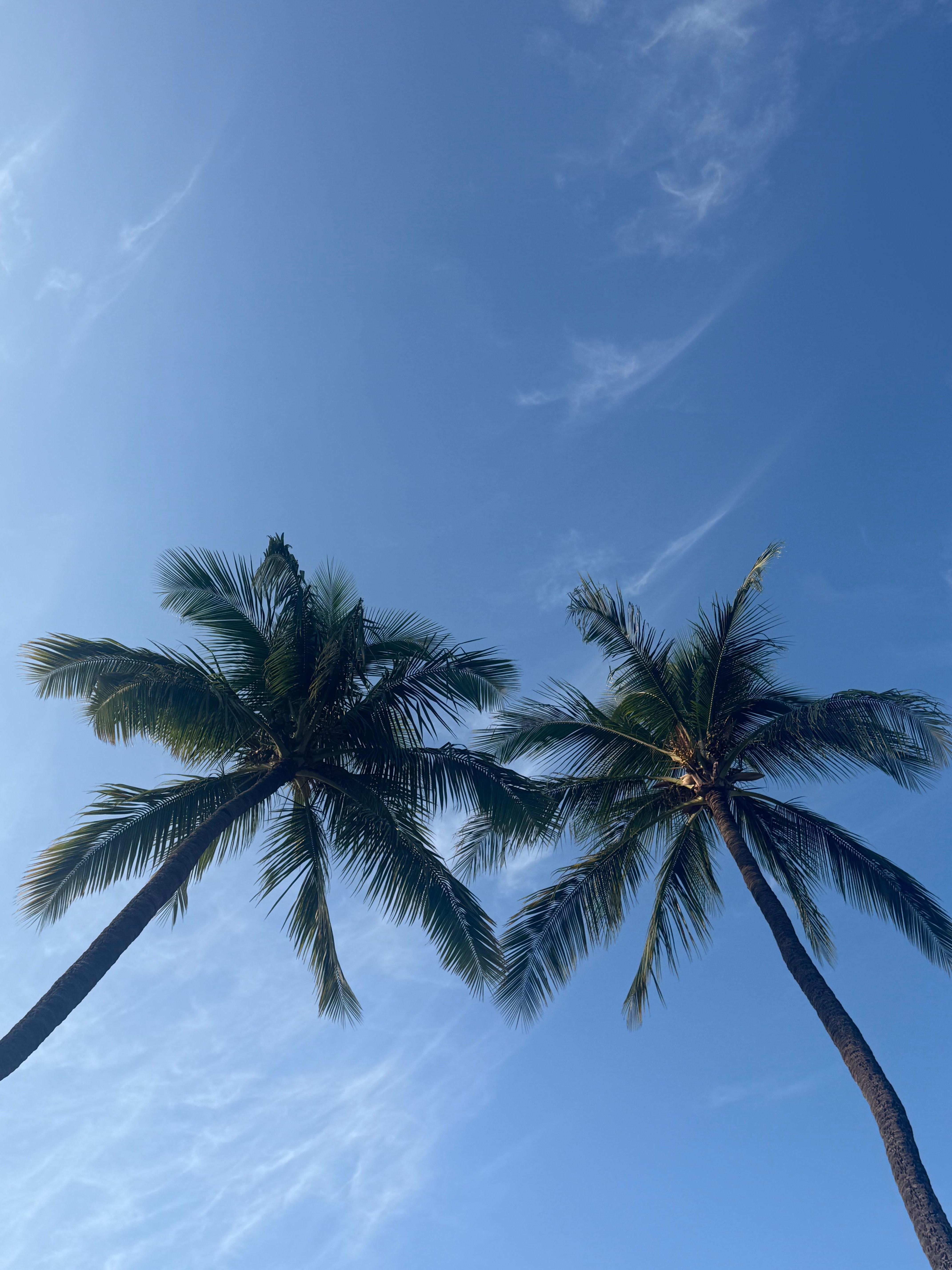 From the chaise lounge.