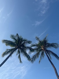 From the chaise lounge.