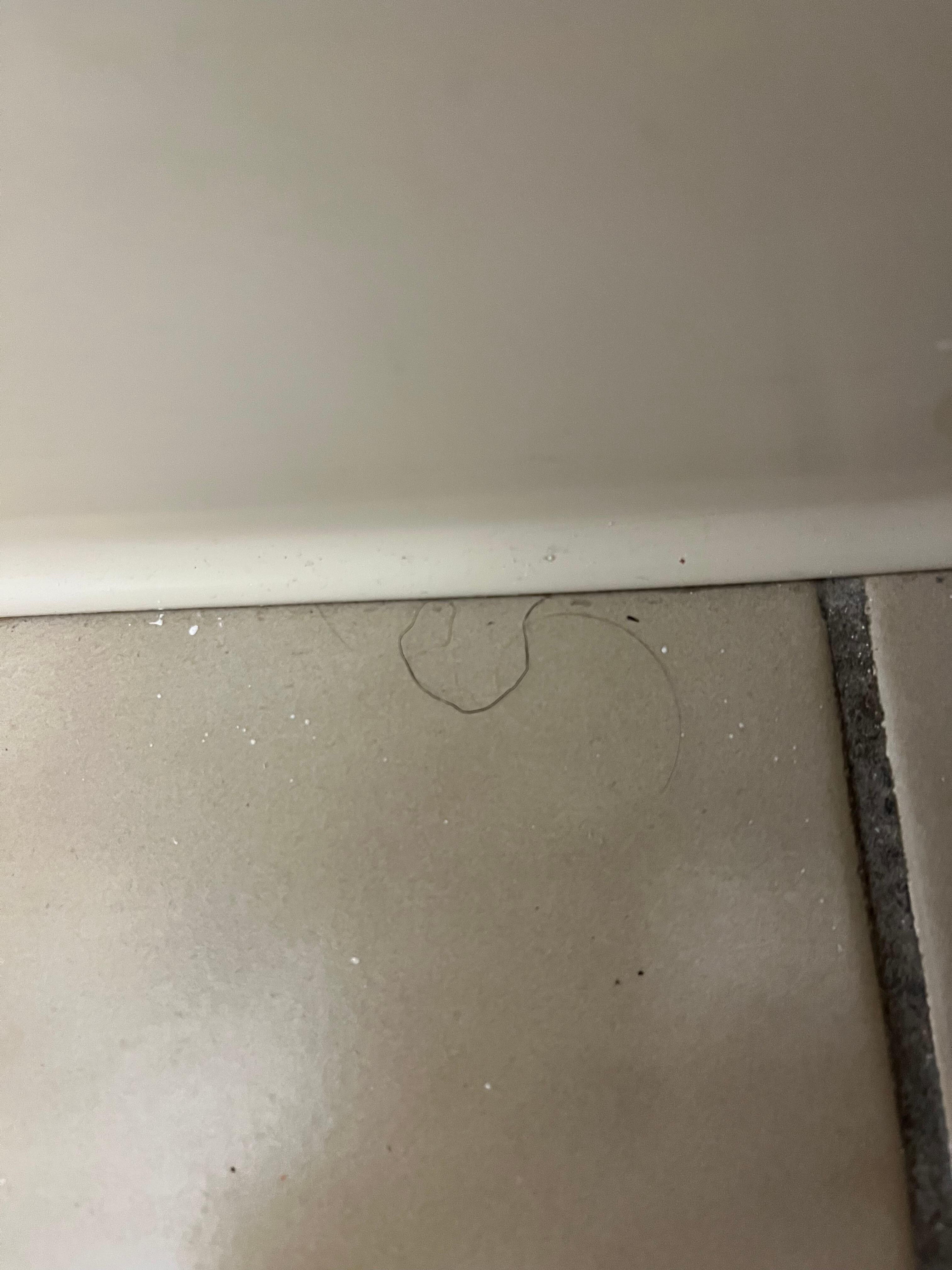 Pubic hair