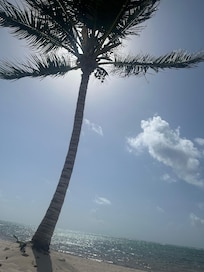 Buen clima