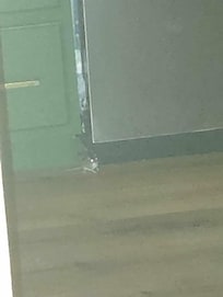Where the mouse ran to!