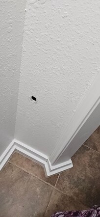 Hole in bathroom wall - looks like it could have been where the toilet paper holder was attached at some point.