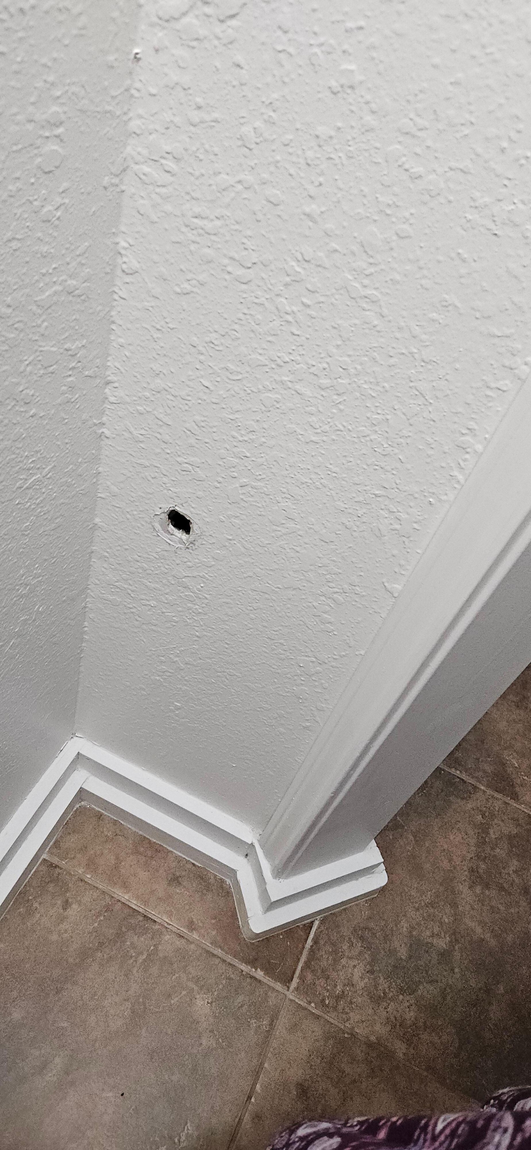 Hole in bathroom wall - looks like it could have been where the toilet paper holder was attached at some point.