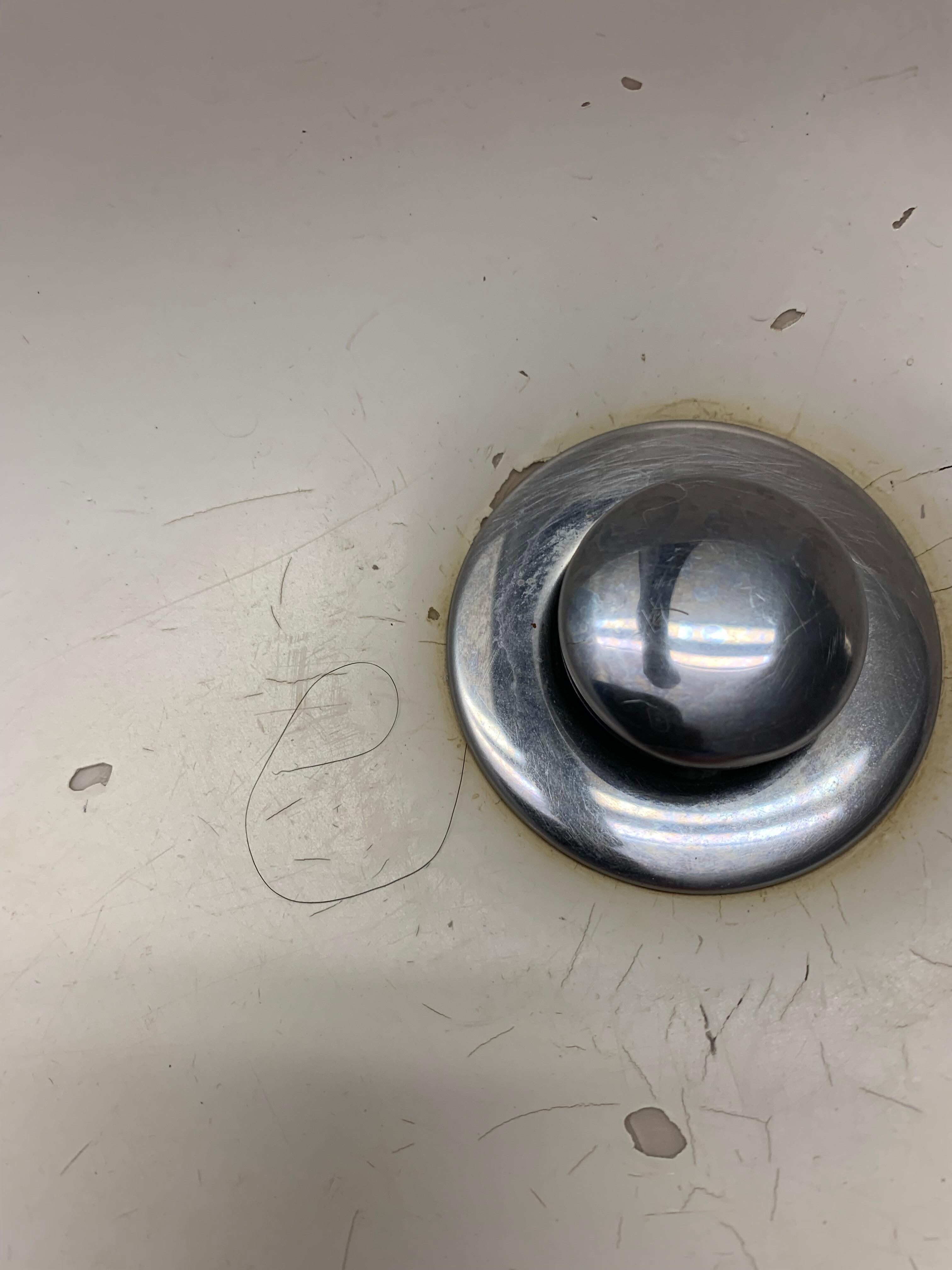 My drains had garbage and food from the previous guests