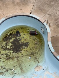 The pool