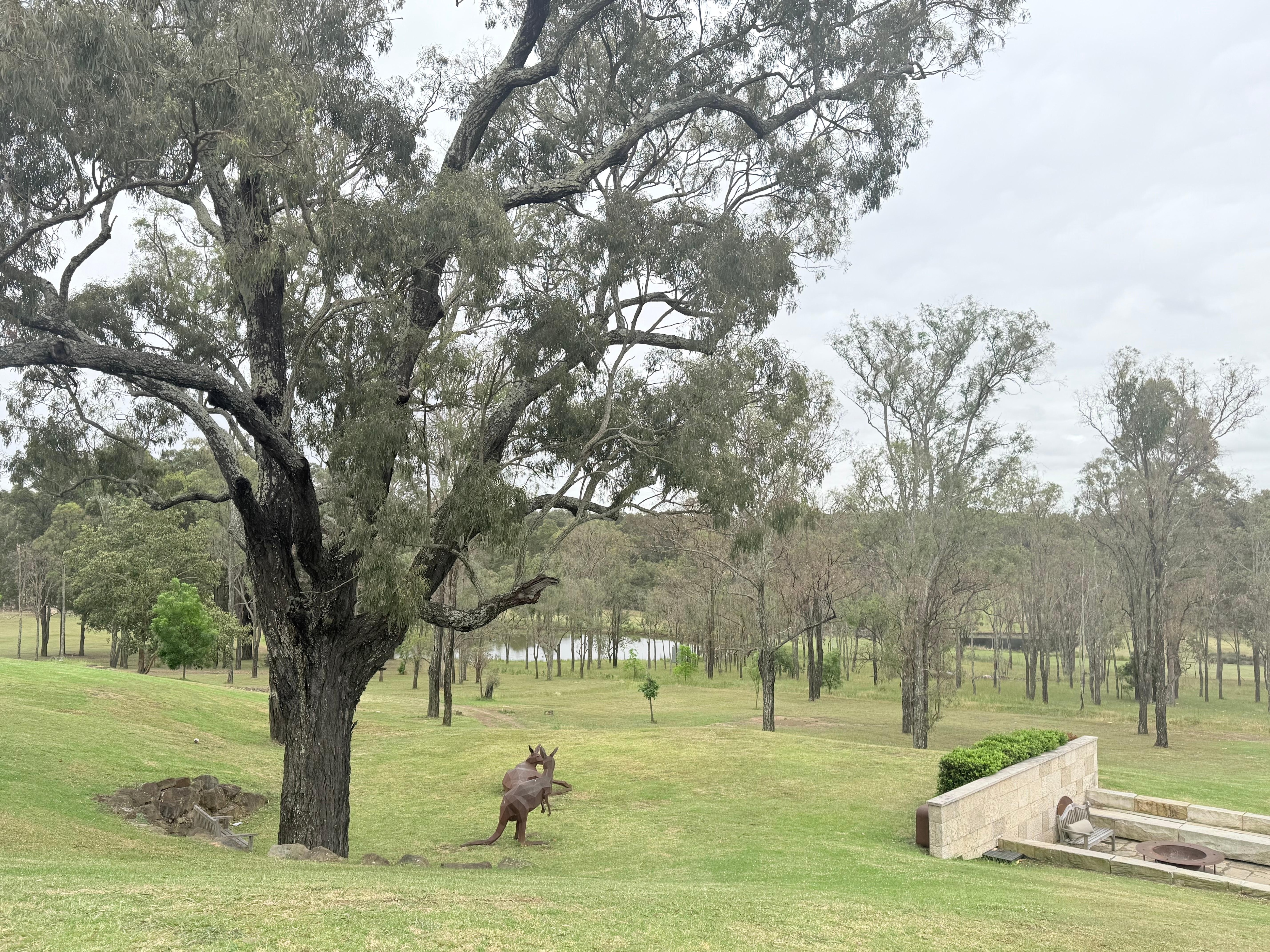 View from lounge/restaurant area