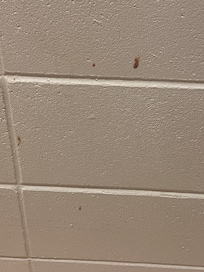 On the wall as soon as you walk into the room.