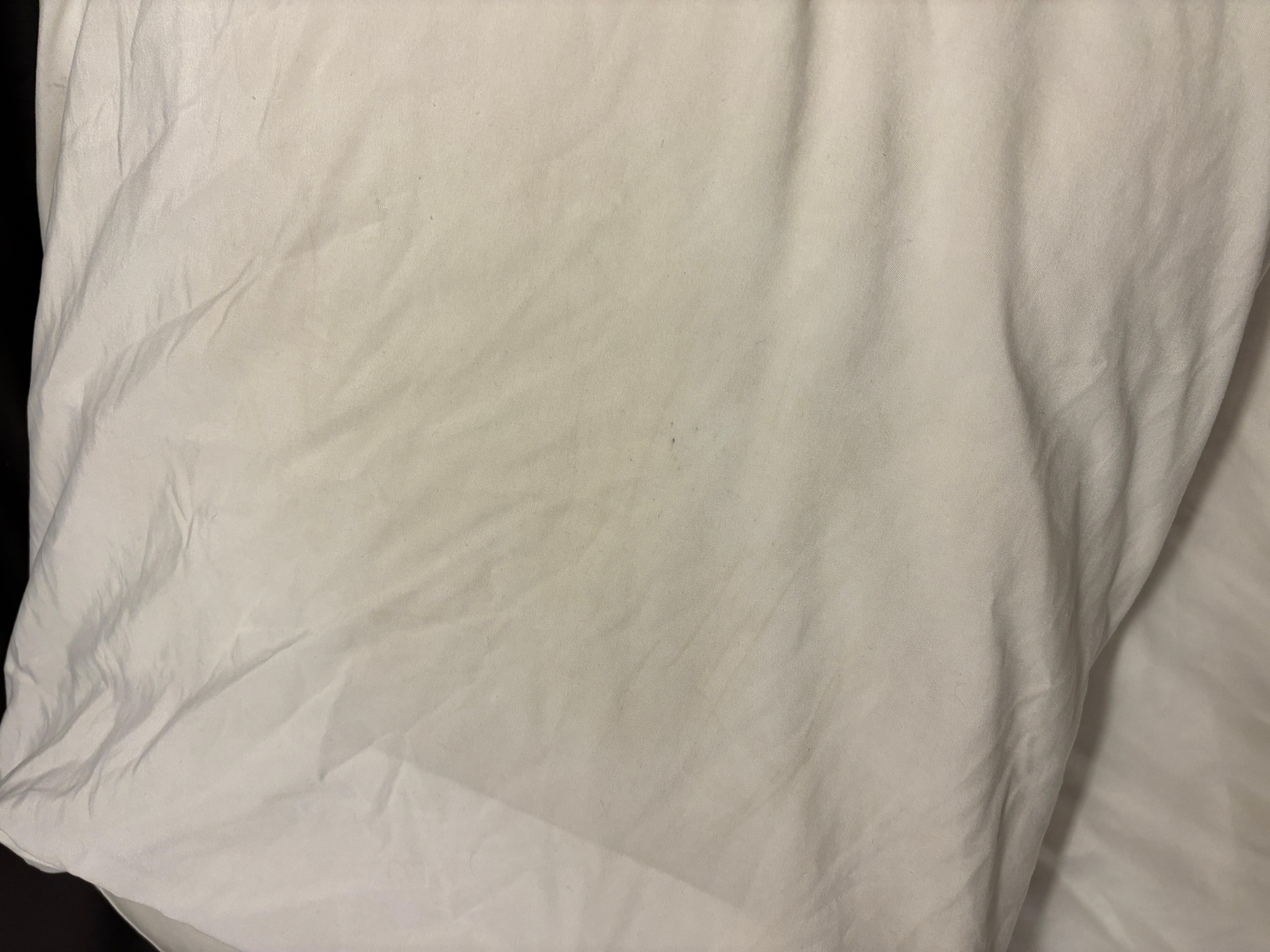 Soiled pillow case. Both looked this way & appeared to have been recently slept on. 