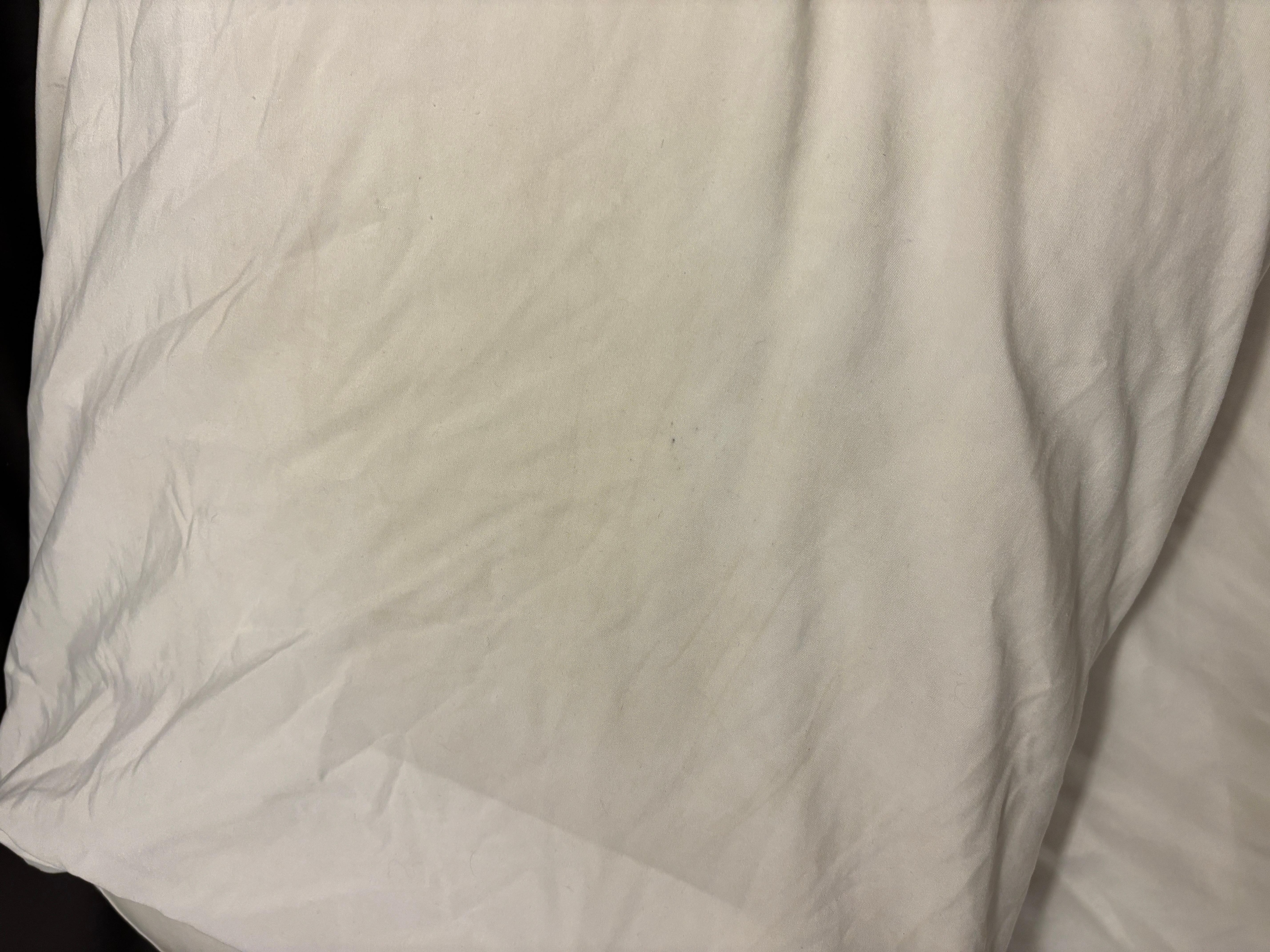 Soiled pillow case. Both looked this way & appeared to have been recently slept on.