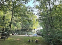 View from the back deck