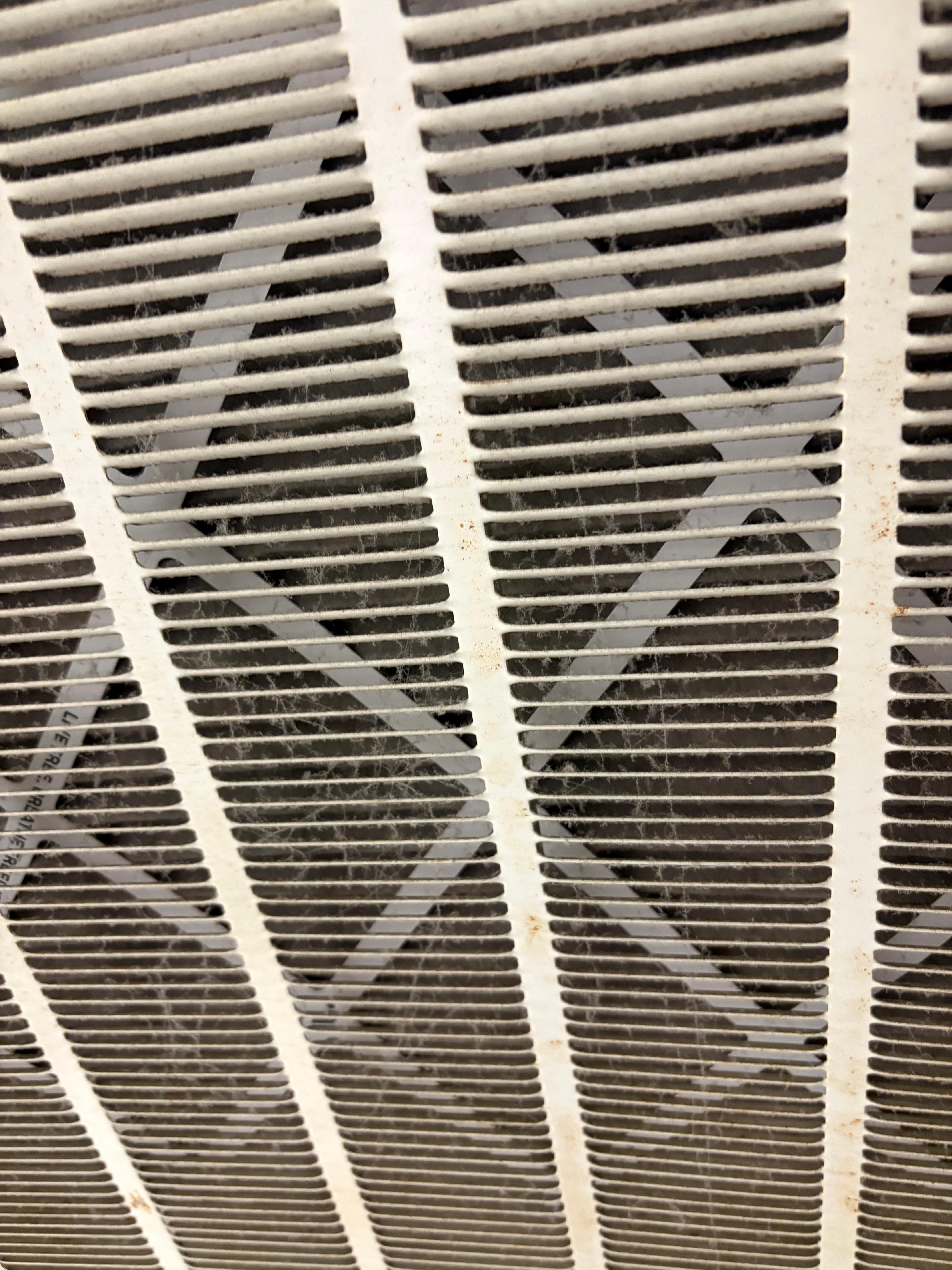 Hubbys allergies were bad during our stay and we believe this is why. So much dust. Has it ever been cleaned?