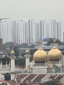 View of Little India and Sultans Palace from hotel. However, Singapore is hot and humid so I didn't walk anywhere. Real feel temps were over 102 degrees in October.