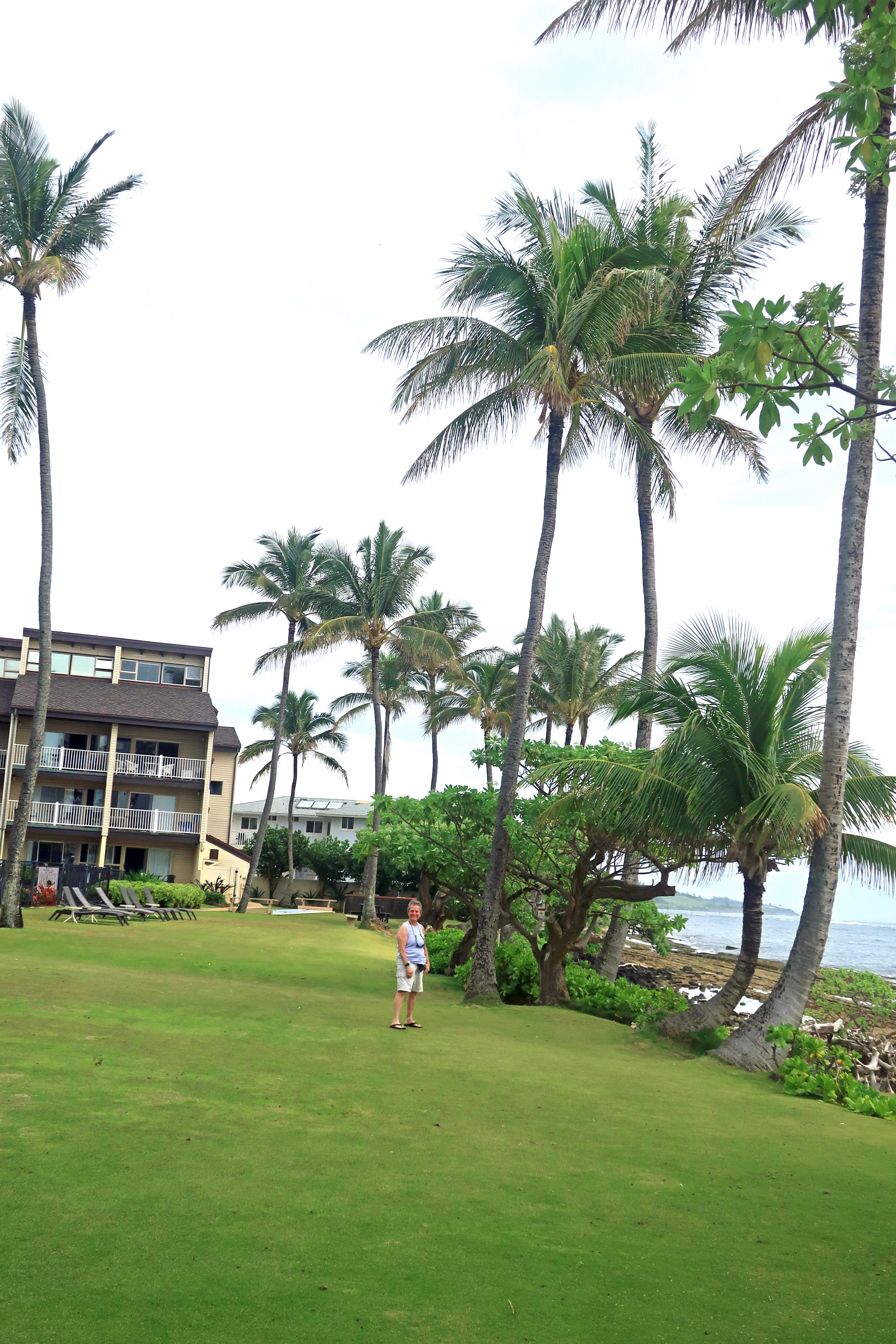 Condo grounds