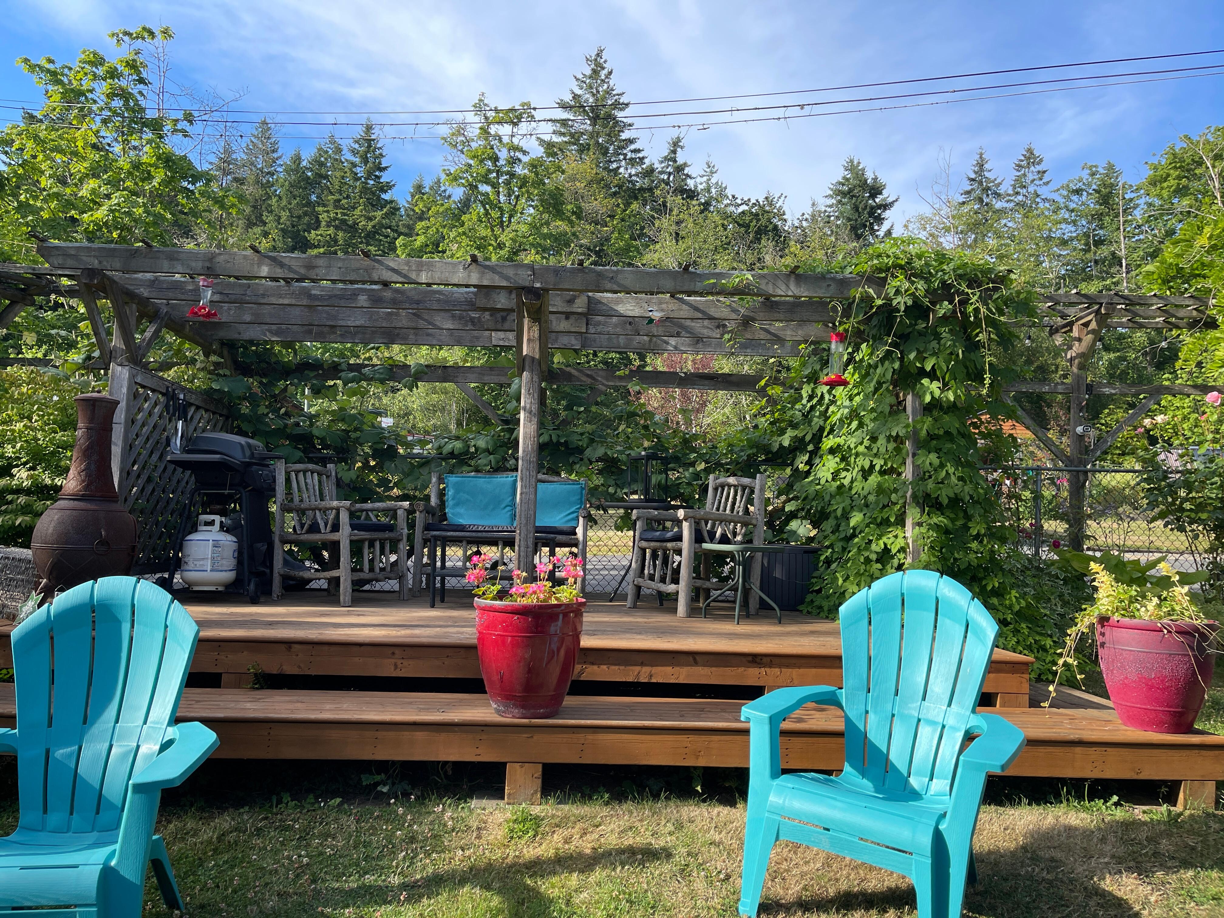 My favorite place to read and enjoy the hummingbirds 