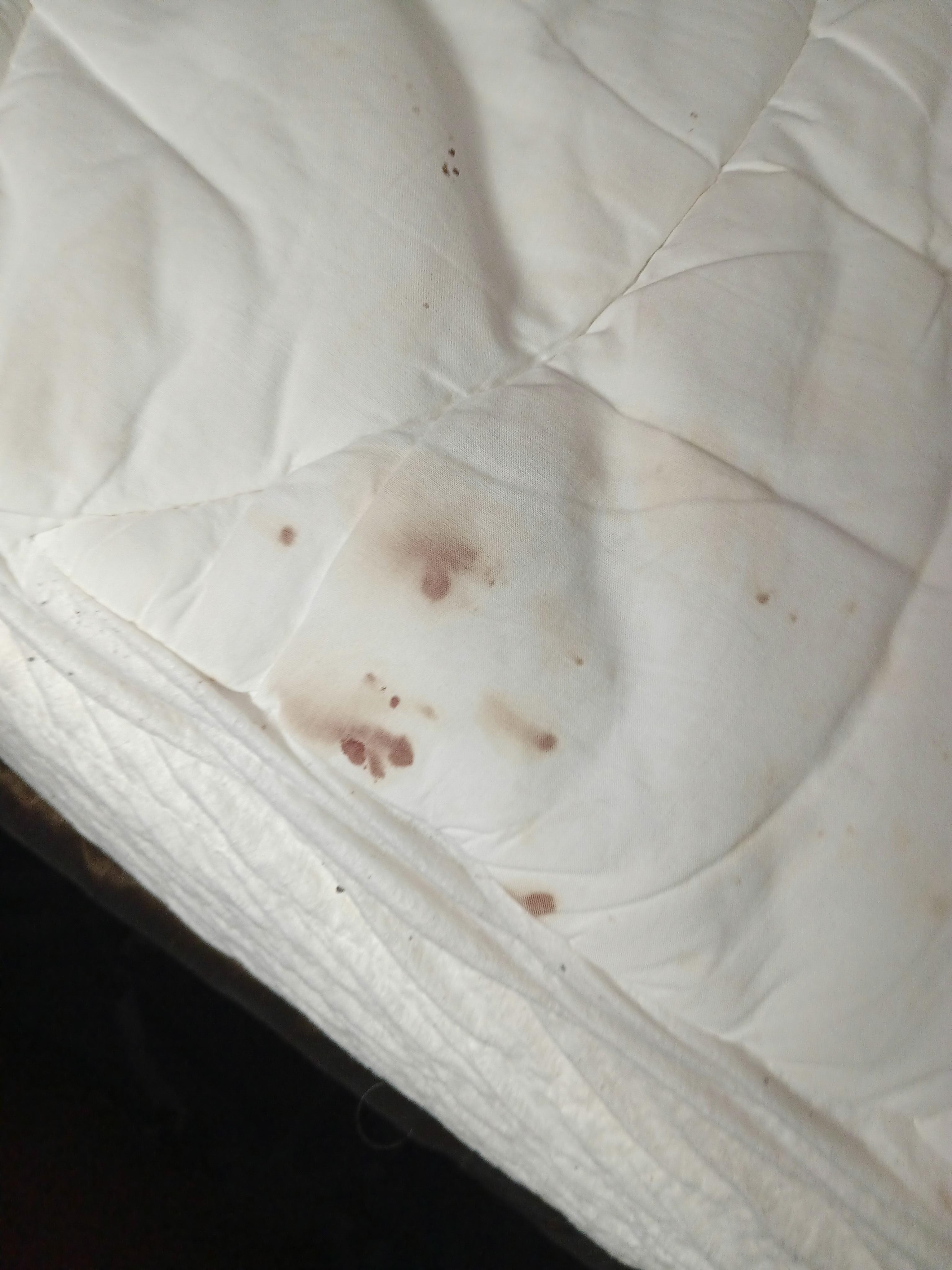 Blood stains on bed cover after removing the bedding with stain and cigarette burns