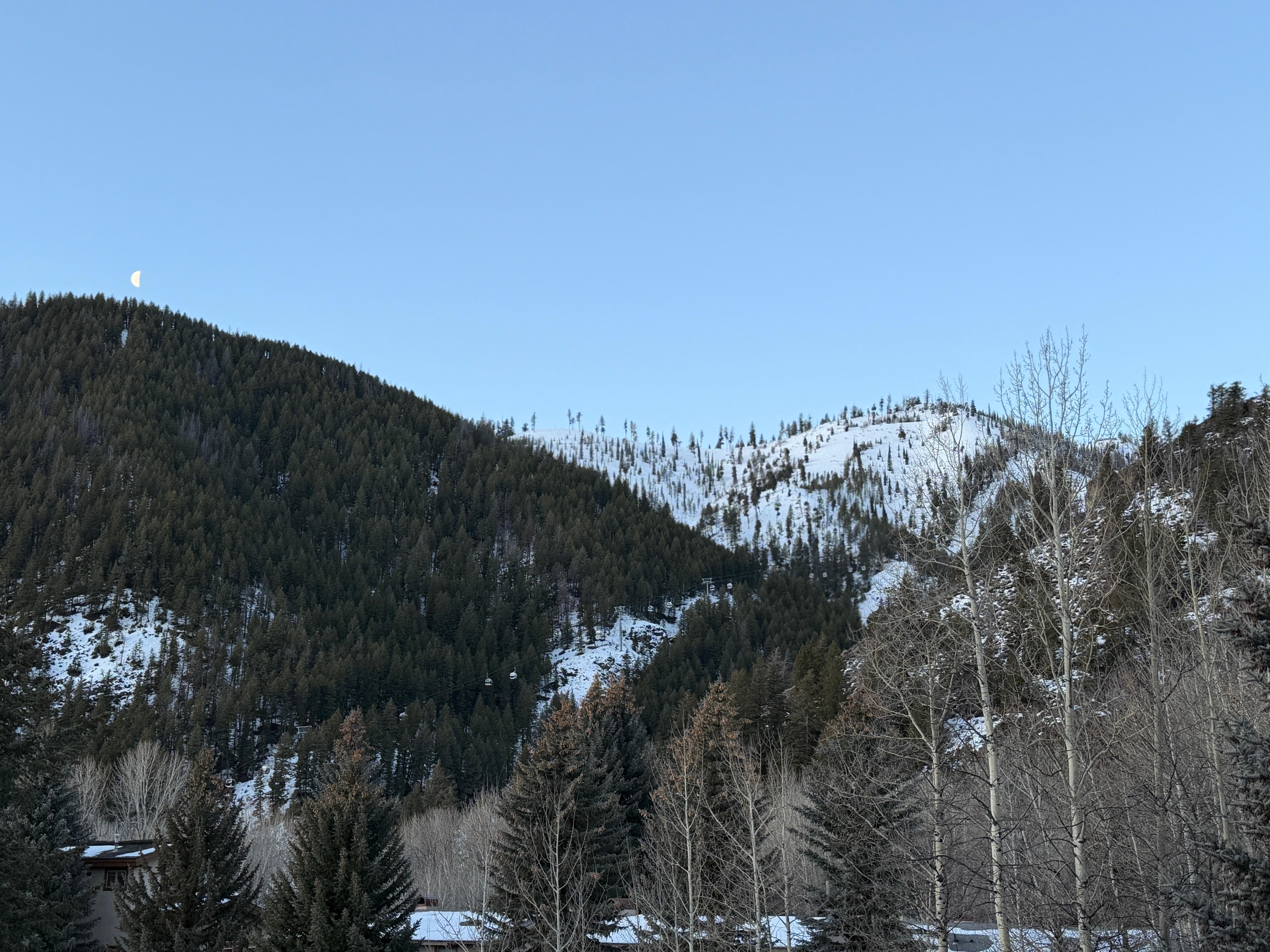 Morning view from the deck