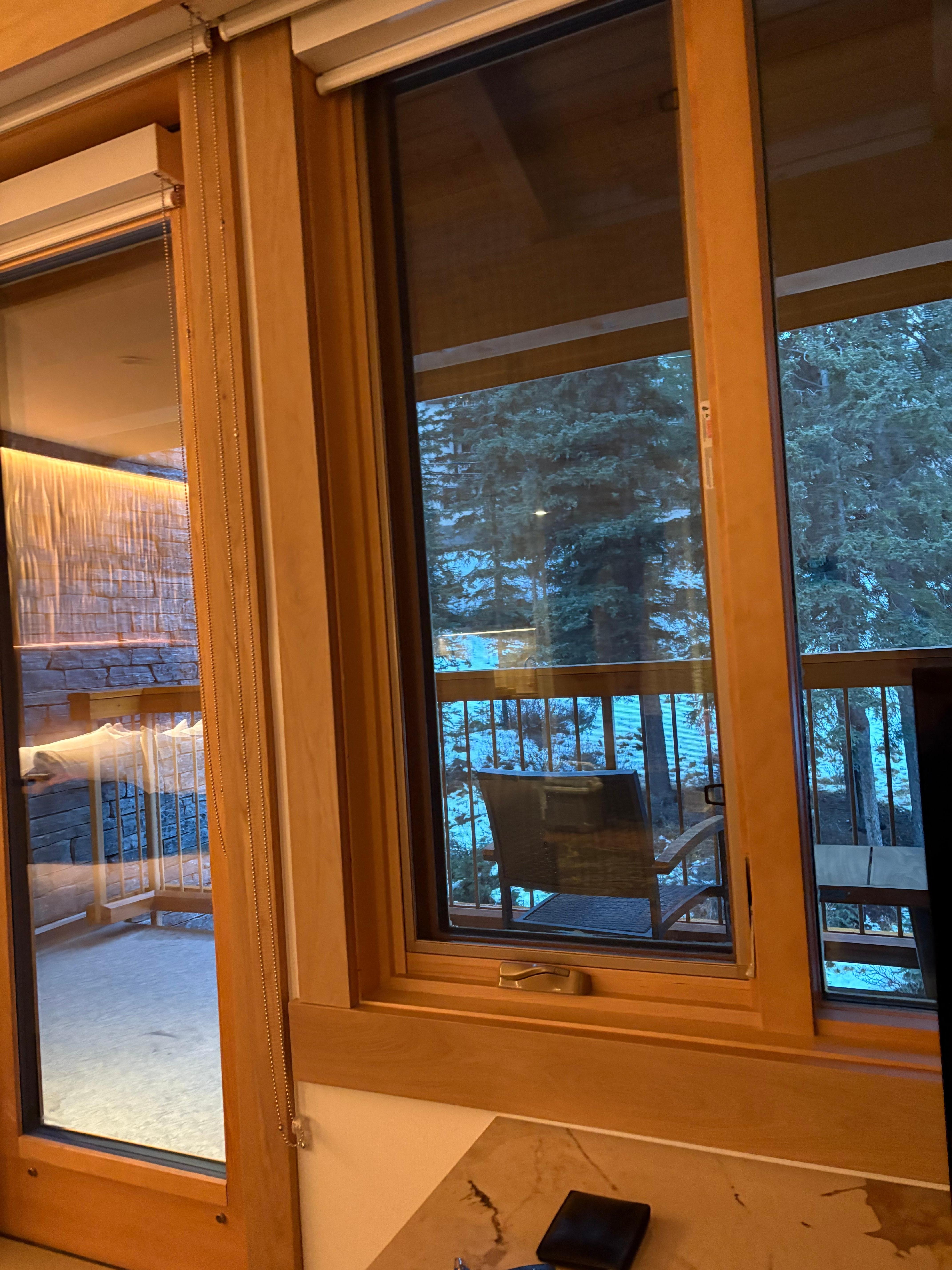 Beautiful forest view ! 