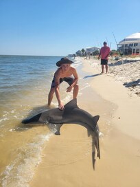 Catch, tagged,released