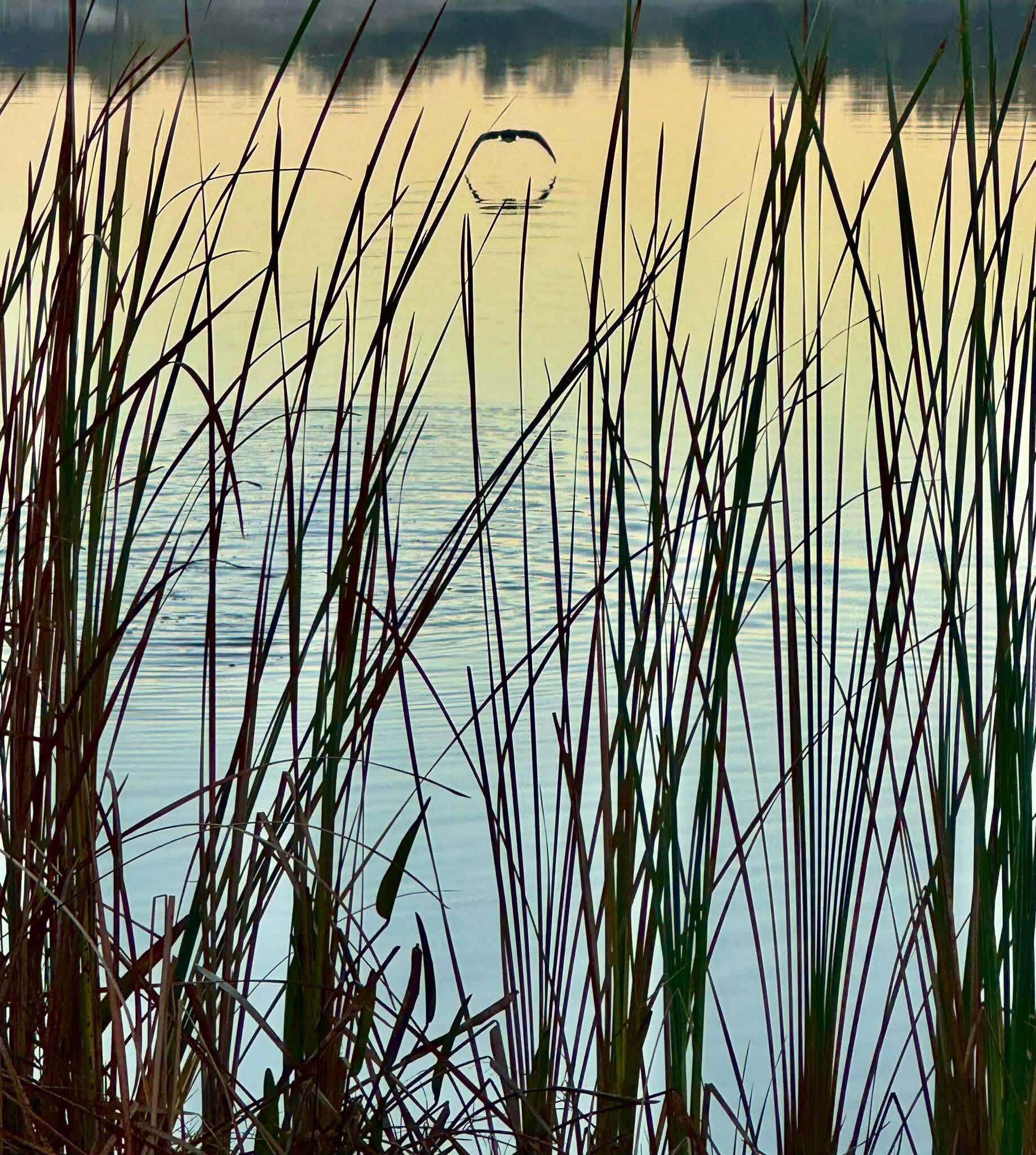 Morning coffee here is the best 