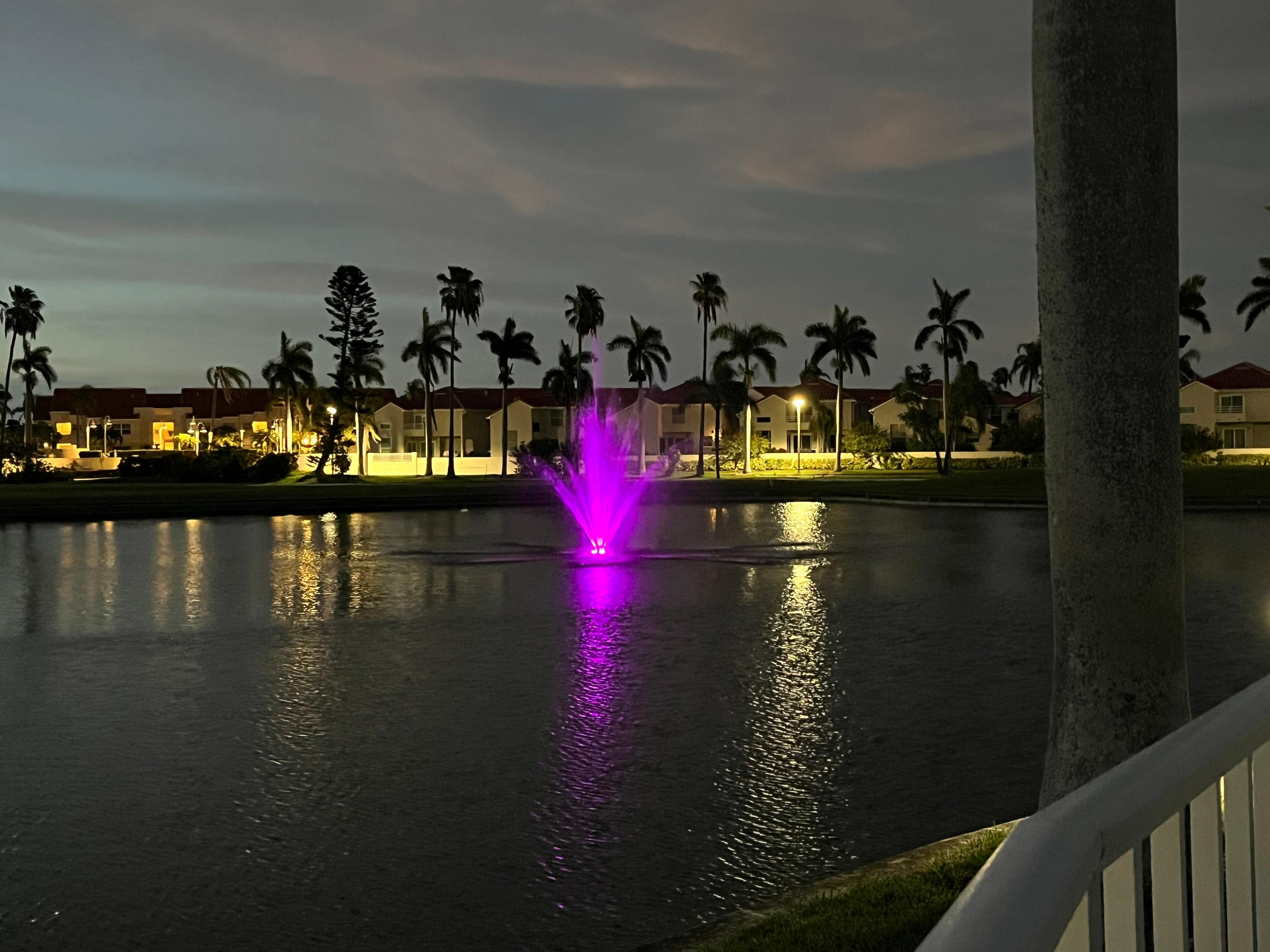 Loved the fountain that changed colors