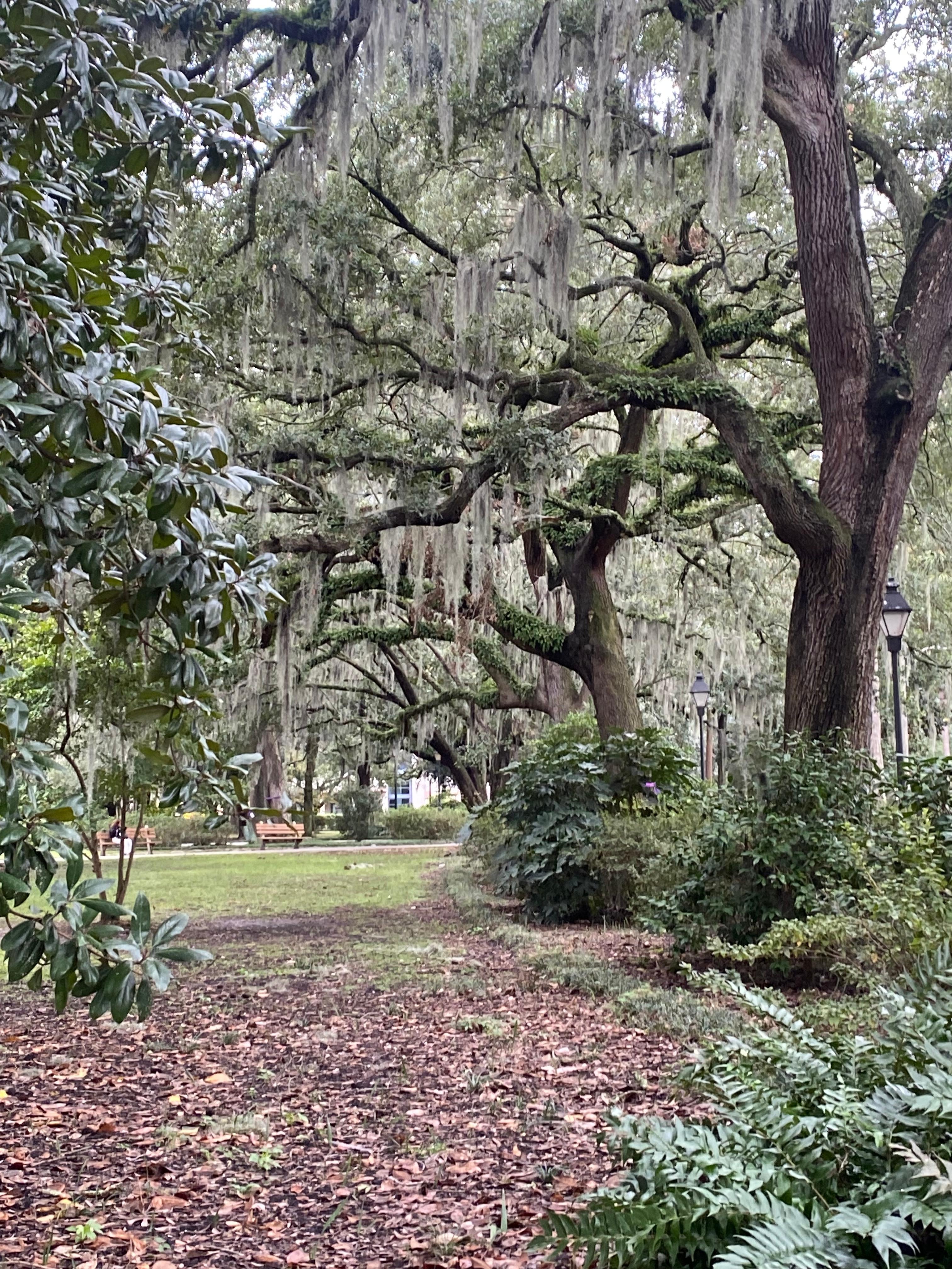 So close to Forsyth Park.