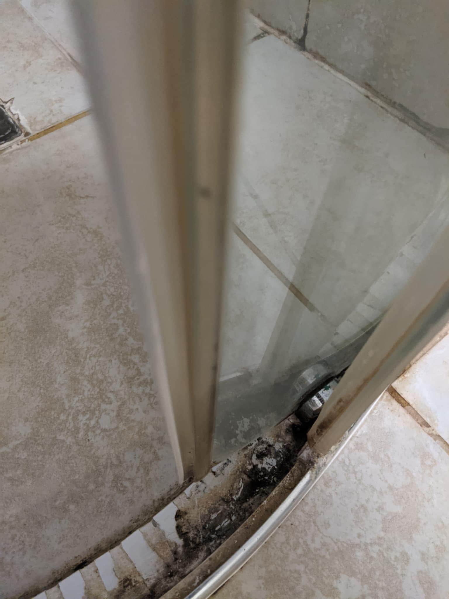 Shower track mouldy