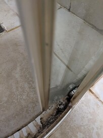 Shower track mouldy
