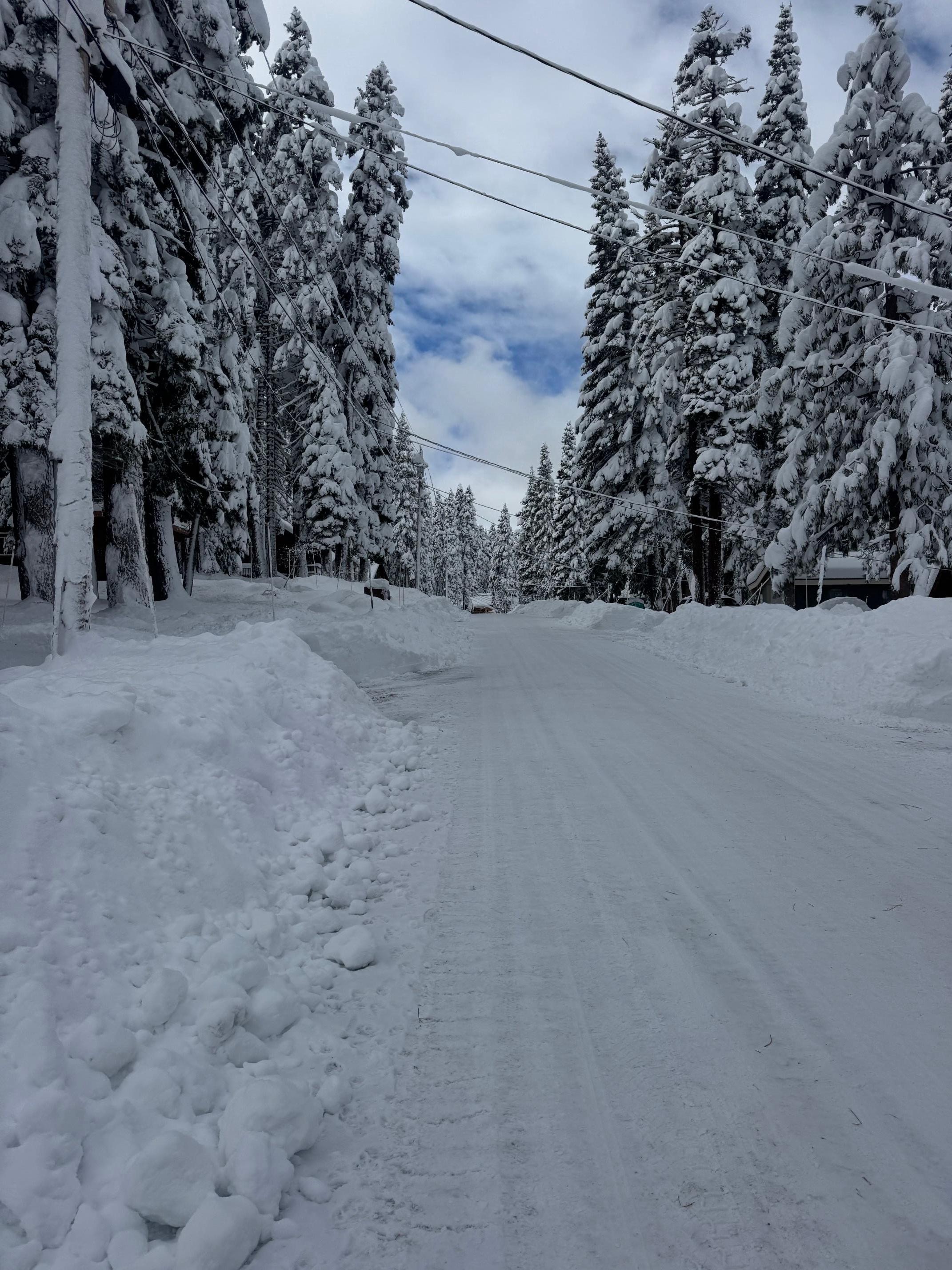 The beautiful drive in to the house