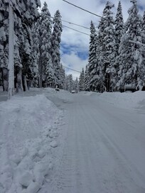 The beautiful drive in to the house