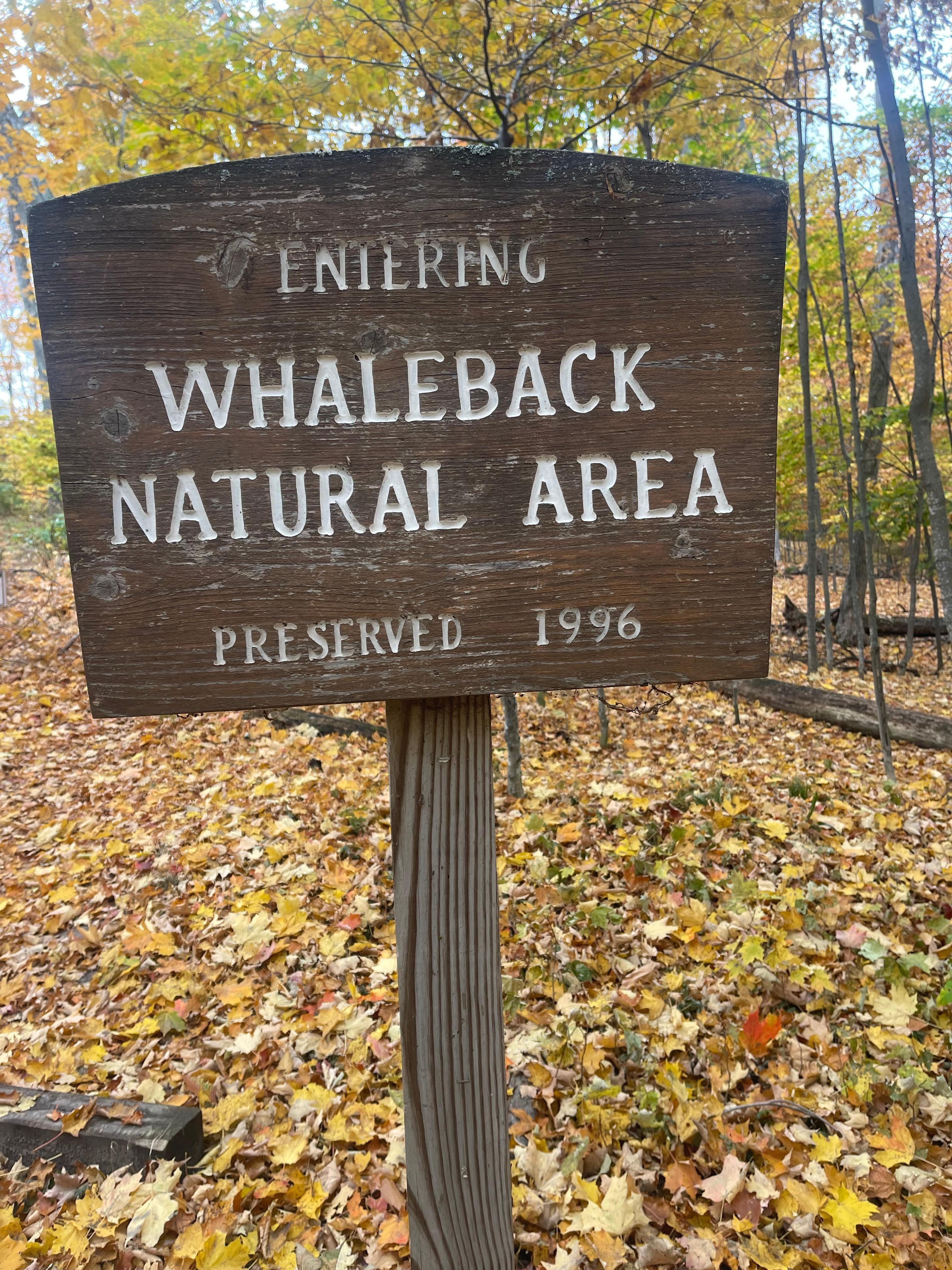 Whaleback is nearby.  Great hike and view of the Lake!