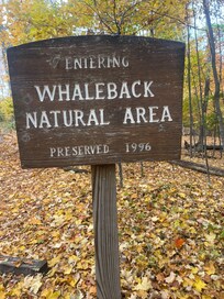 Whaleback is nearby. Great hike and view of the Lake!