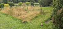 Garten (Hinten)