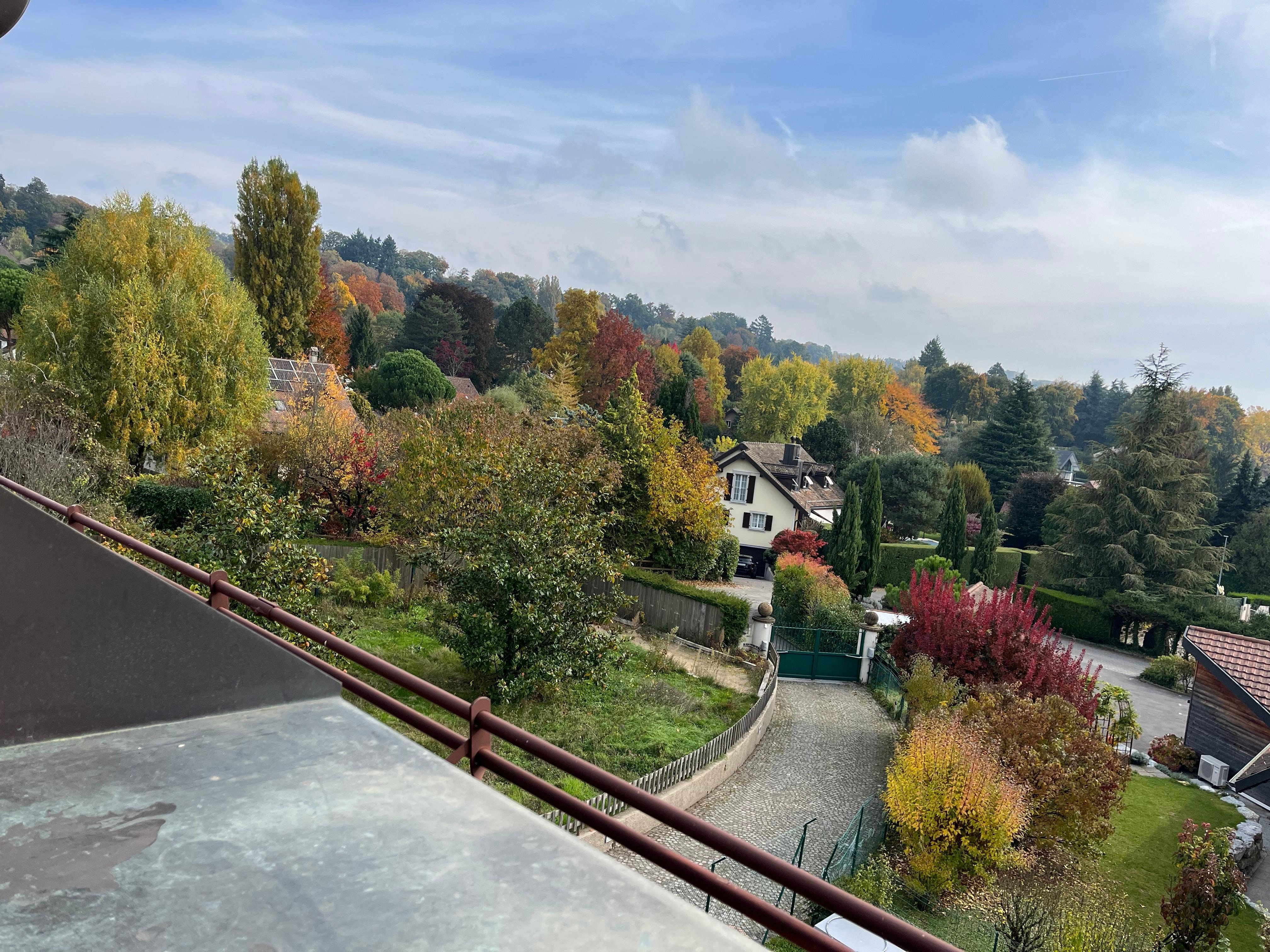 Zicht op waanzinnig mooie herfstkleuren vanuit de keuken