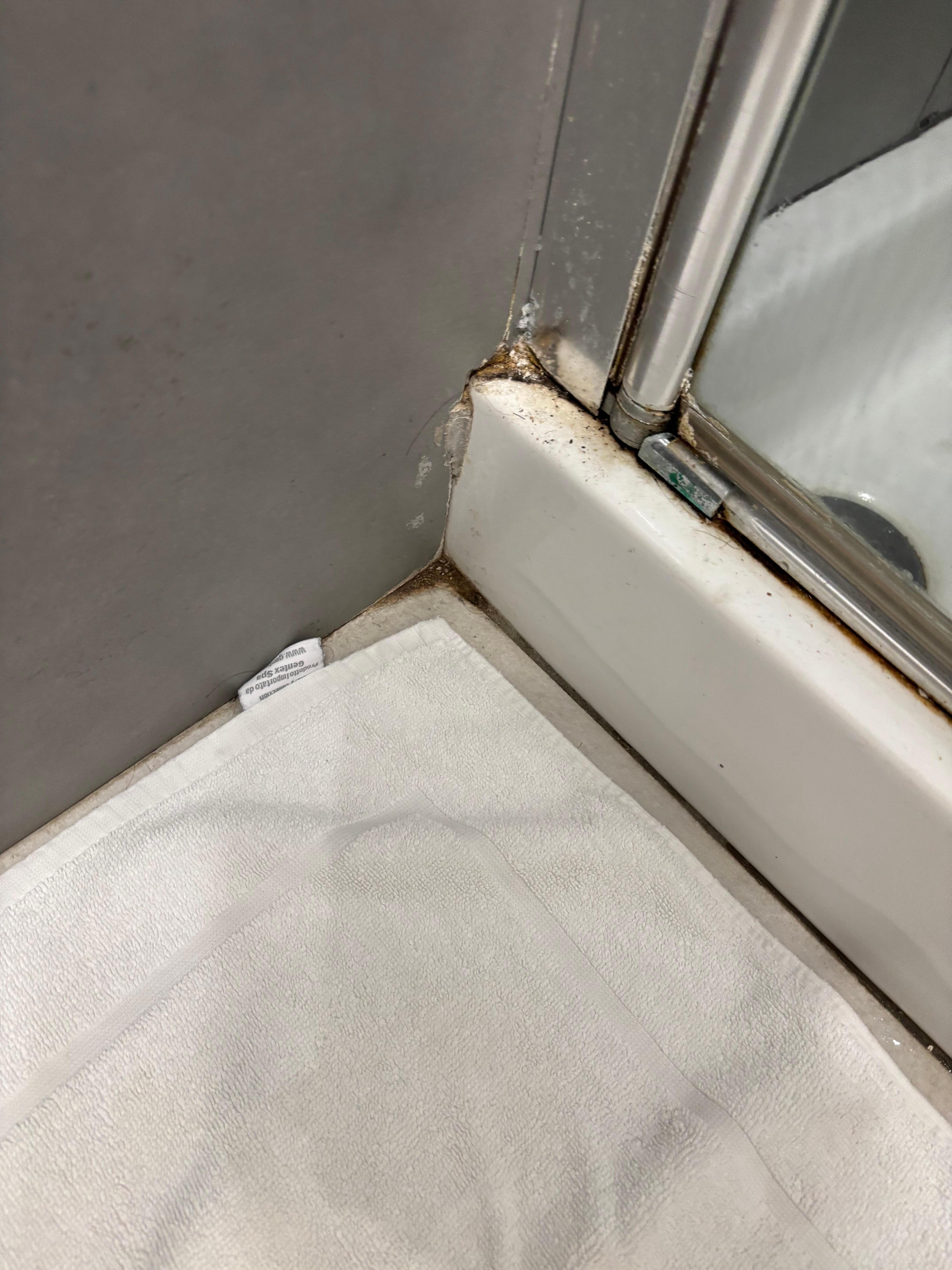 Mouldy shower