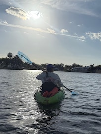 We rented kayaks for an afternoon and found some manatees.